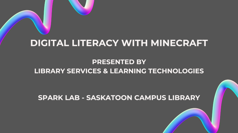 Digital Literacy with Minecraft